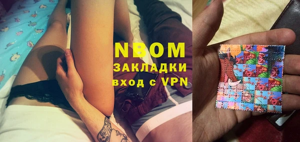 прущие грибы Аркадак